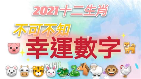 生肖雞的幸運色|十二生肖「幸運數字、幸運顏色、大吉方位」！跟著做。